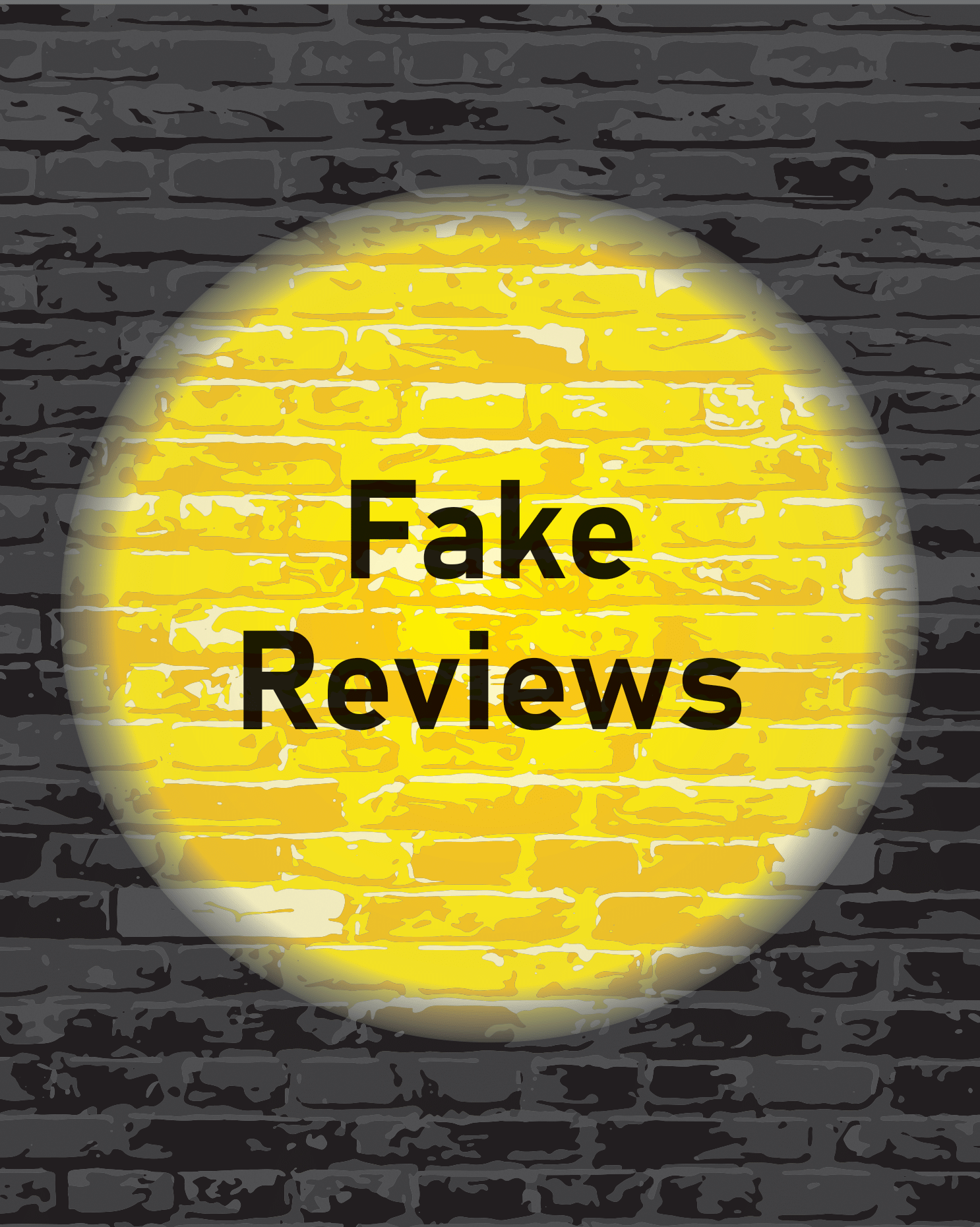 fake reviews cover